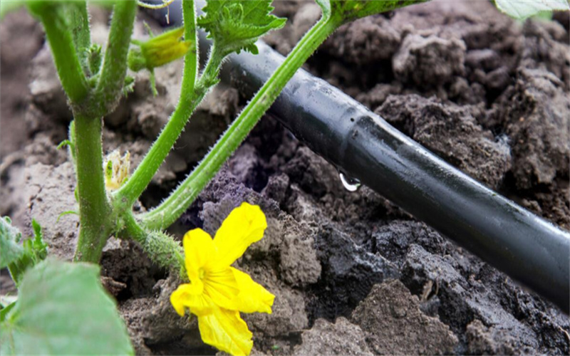 20221009102206_83323 µÂÆËÖ®ÐÇ - dpzx.com