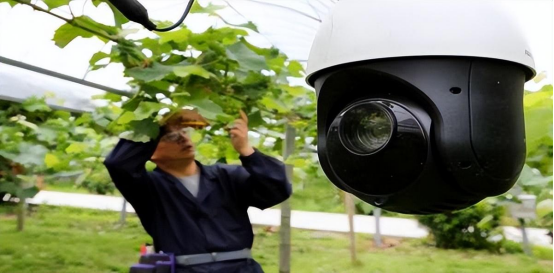 20221109152636_68865 µÂÆËÖ®ÐÇ - dpzx.com