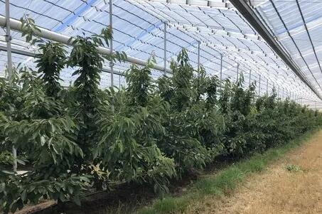 ���弯��ˮ�ѡ�����ˮ��һ�廯�����½�ˮ�²���