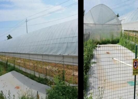 ���ϻ����ƹ����弯��ˮˮ��һ�廯��������ˮ�¼���