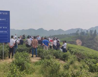 ��Ҷˮ��һ�廯��Ŀ��Ч�����԰��ȼ�ʩ������