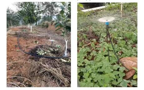 ����ִ��ˮ��һ�廯����Щ��������