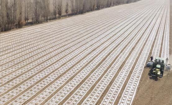 ��������ִ���ǻ�ũҵ���̺͡�������+���ִ�ũҵ�ж�