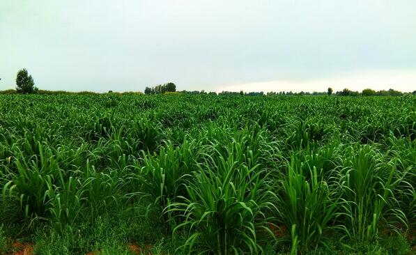 ����֮�� - dpzx.com