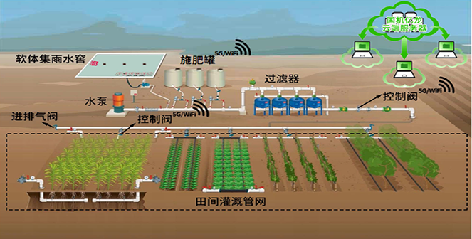 ����֮�� - dpzx.com