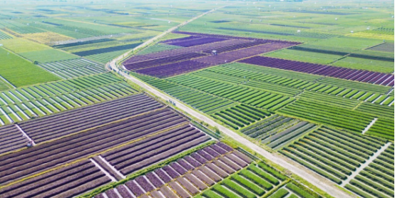 ����֮�� - dpzx.com