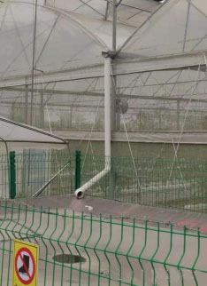 ����֮�� - dpzx.com