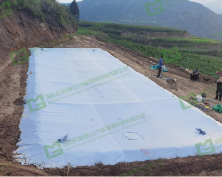 ����֮�� - dpzx.com