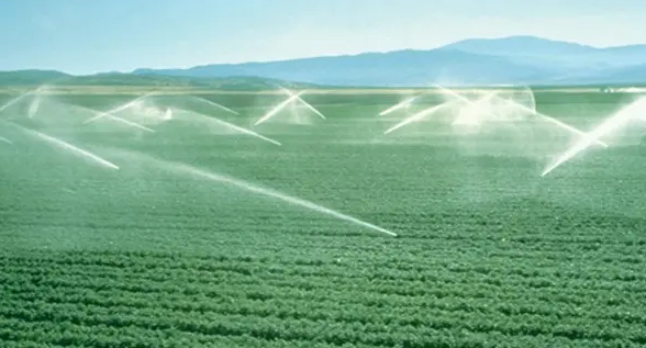 20220822154013_37183 德扑之星 - dpzx.com