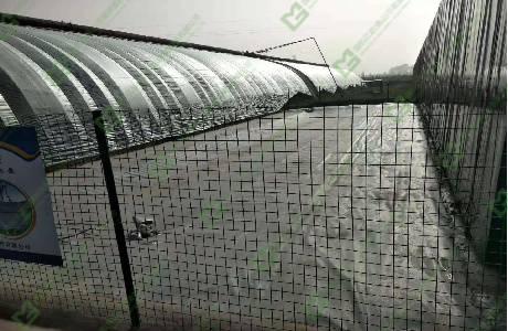 20220824164322_31741 µÂÆËÖ®ÐÇ - dpzx.com