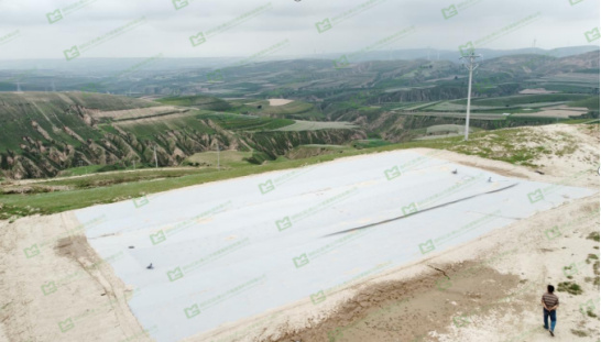 ����֮�� - dpzx.com