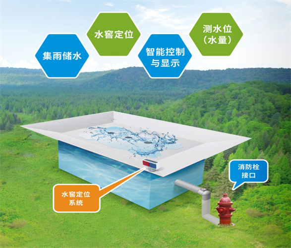 ����֮�� - dpzx.com