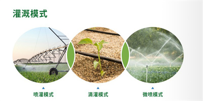 ����֮�� - dpzx.com