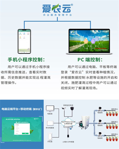 ����֮�� - dpzx.com