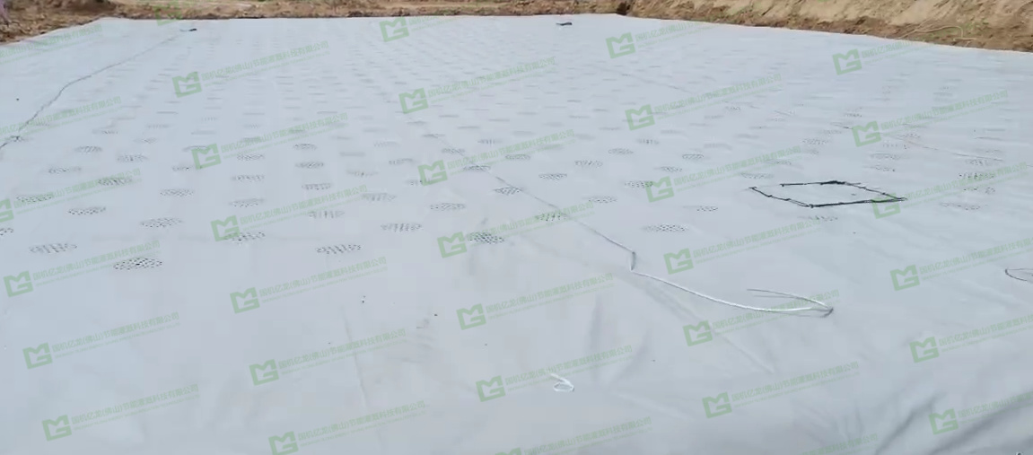 ����֮�� - dpzx.com