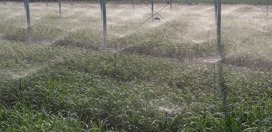 ����֮�� - dpzx.com