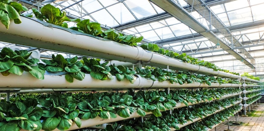 ����֮�� - dpzx.com