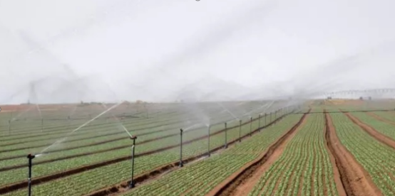 ����֮�� - dpzx.com