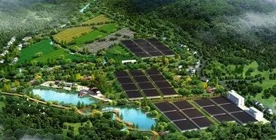 ����֮�� - dpzx.com