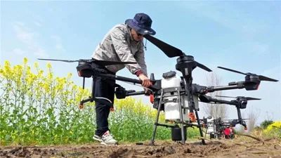 ����֮�� - dpzx.com