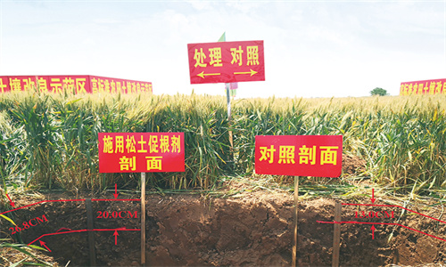 ����֮�� - dpzx.com