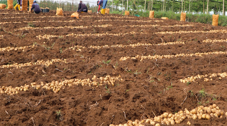 20221028143524_26837 德扑之星 - dpzx.com