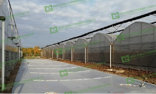 ����֮�� - dpzx.com