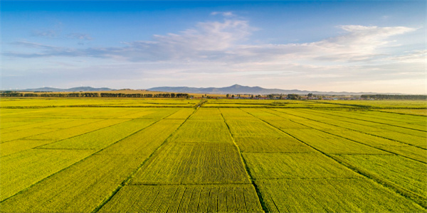 ����֮�� - dpzx.com