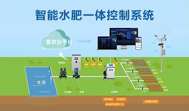 ����֮�� - dpzx.com