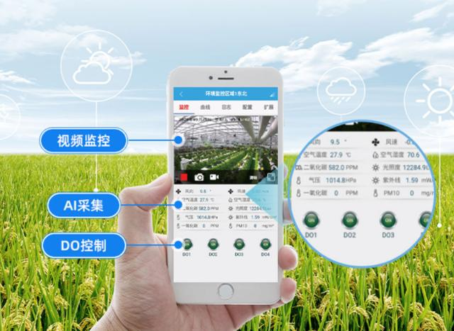 ����֮�� - dpzx.com