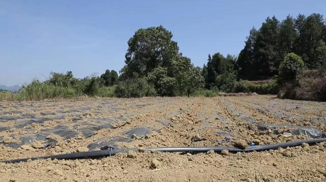 ����֮�� - dpzx.com