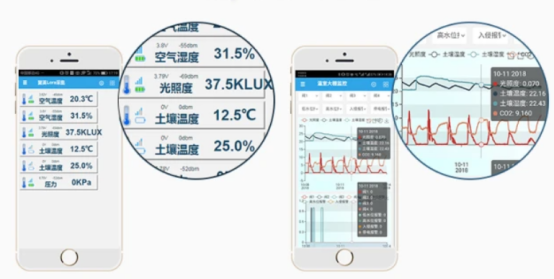 ����֮�� - dpzx.com