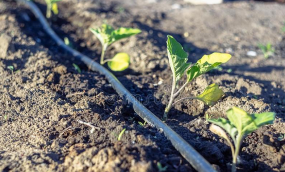 ����֮�� - dpzx.com