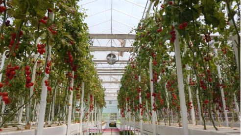 ����֮�� - dpzx.com