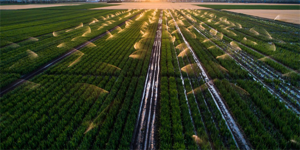 ����֮�� - dpzx.com