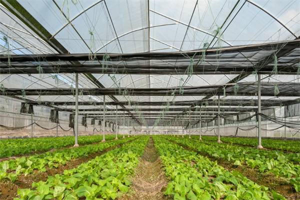 ����֮�� - dpzx.com