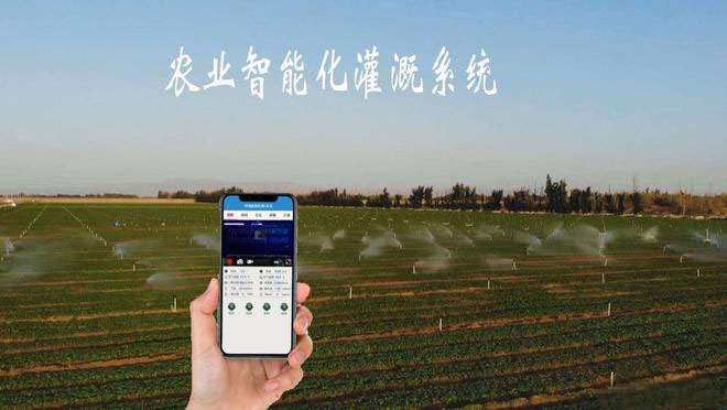 20221216105837_76421 德扑之星 - dpzx.com