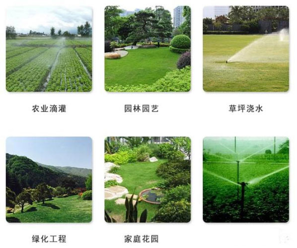 20221216105940_34225 德扑之星 - dpzx.com