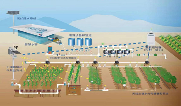 ����֮�� - dpzx.com