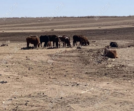 ����֮�� - dpzx.com