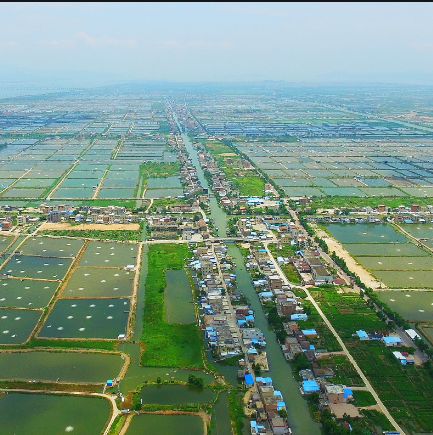 ����֮�� - dpzx.com