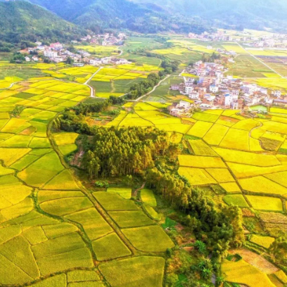 ����֮�� - dpzx.com