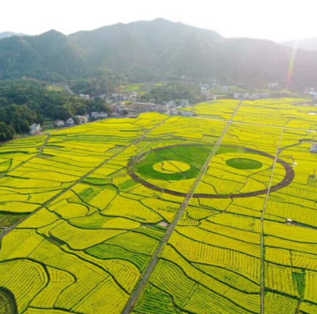 ����֮�� - dpzx.com