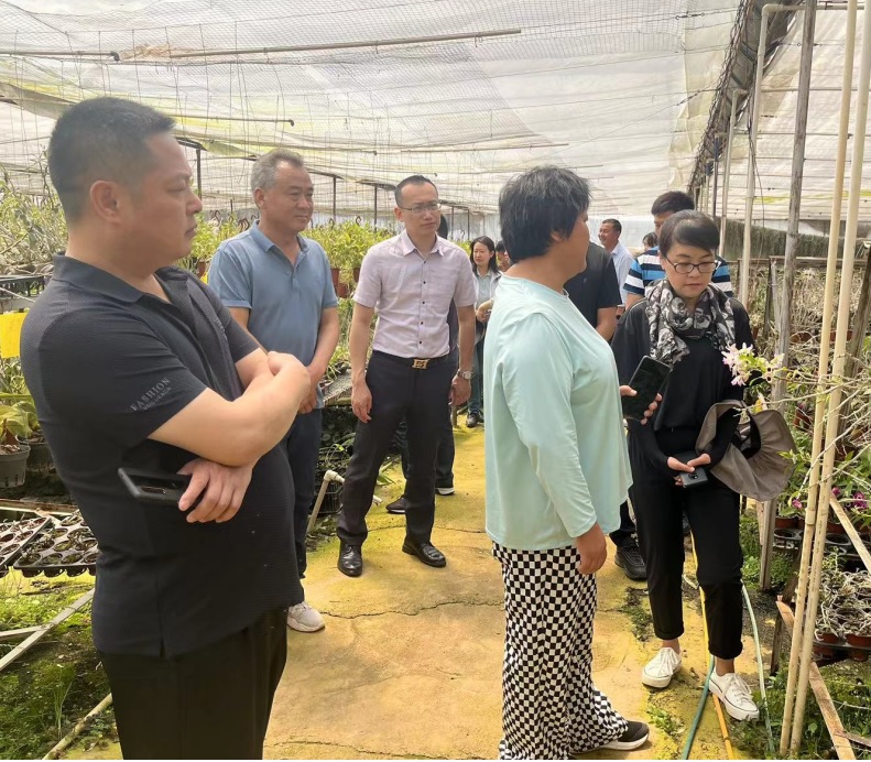 ����֮�� - dpzx.com