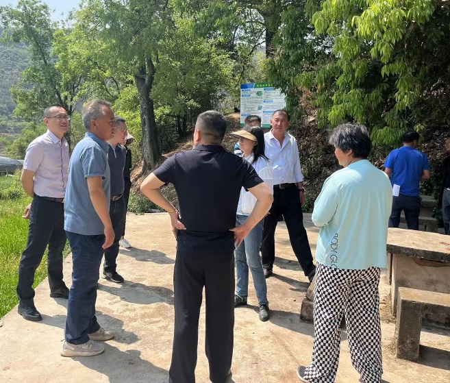 ����֮�� - dpzx.com