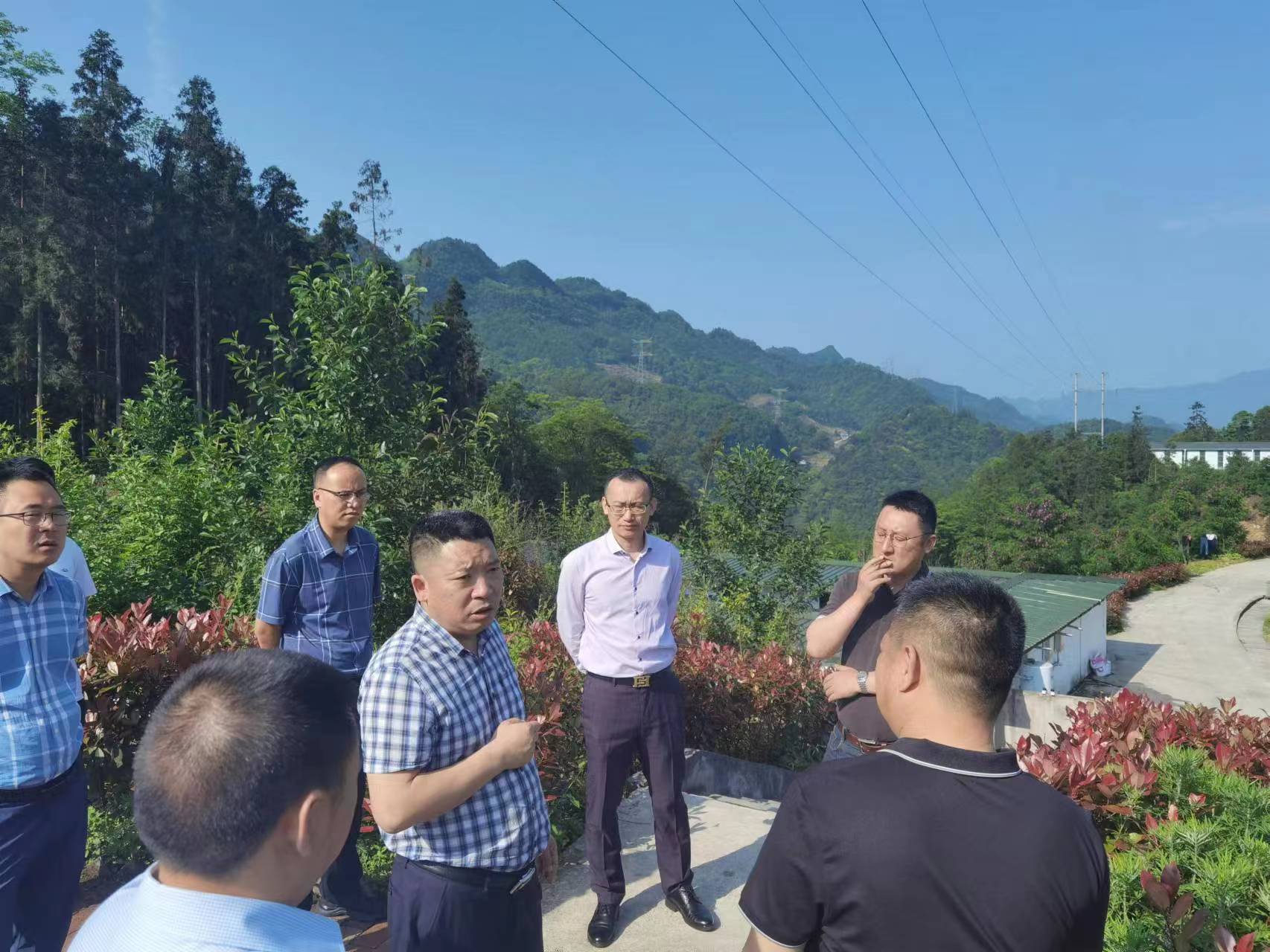 ����֮�� - dpzx.com