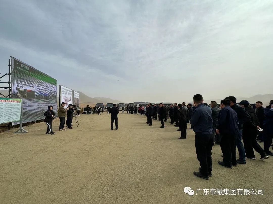 ����֮�� - dpzx.com