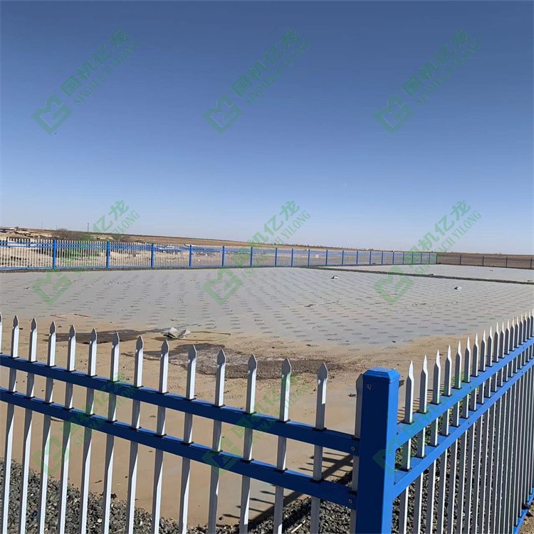 ����֮�� - dpzx.com