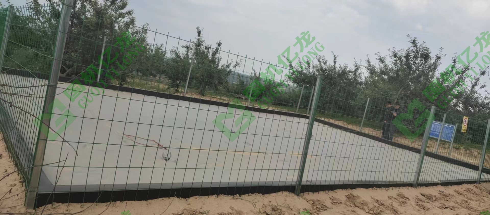 ����֮�� - dpzx.com