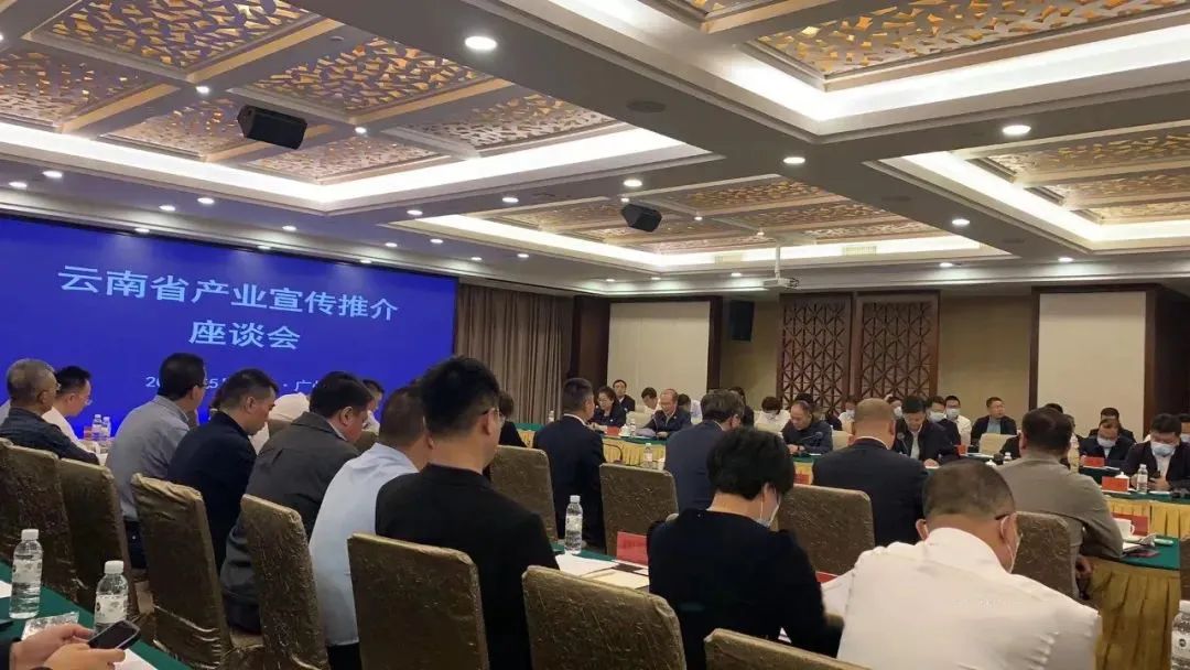 ����֮�� - dpzx.com